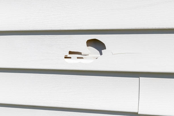 Affordable Siding Repair and Maintenance Services in Pine Ridge, FL